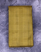 Borderless Checkered Handloom Silk Saree
