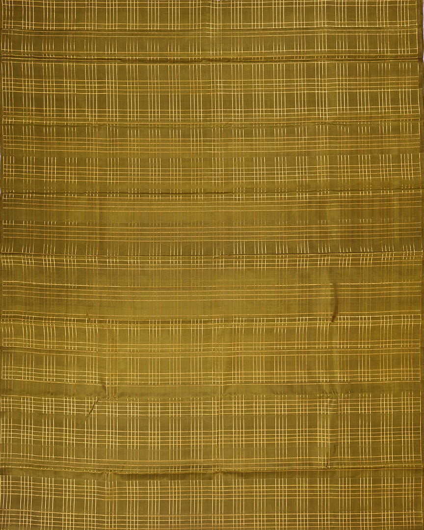 Borderless Checkered Handloom Silk Saree
