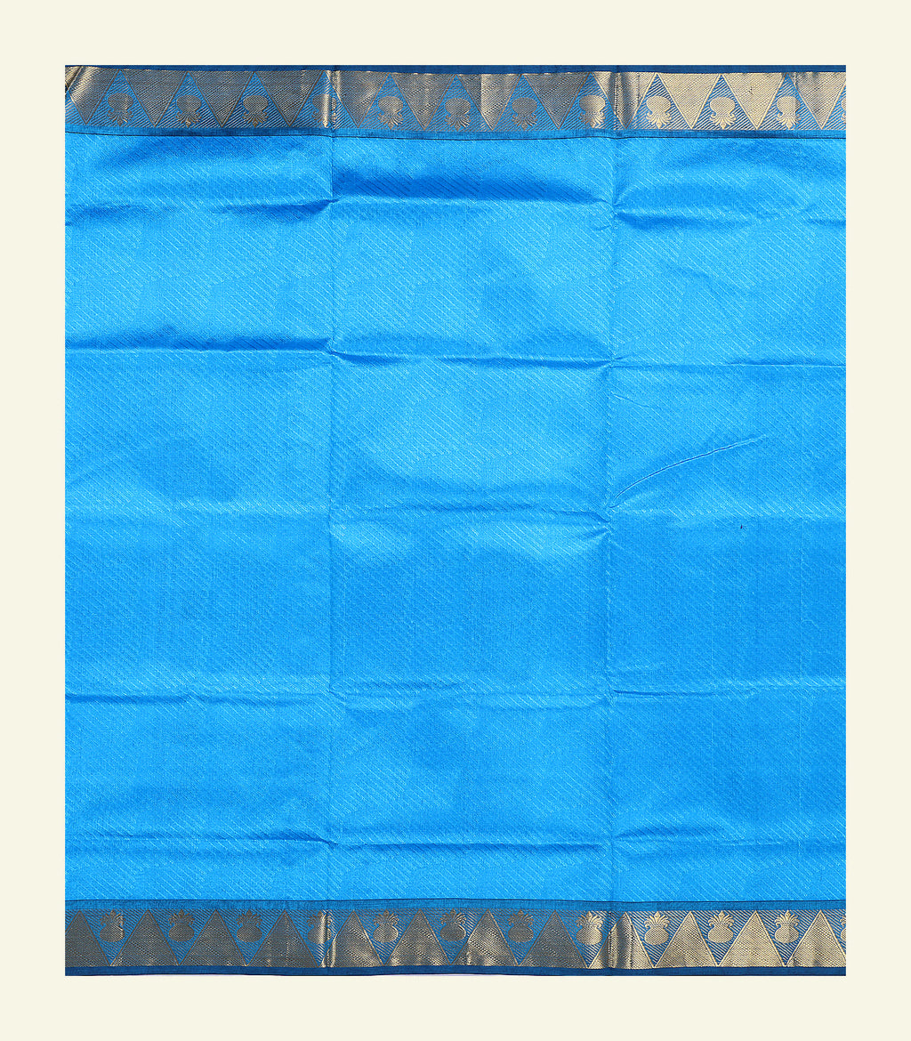 Blue Reku Silk Cotton Saree