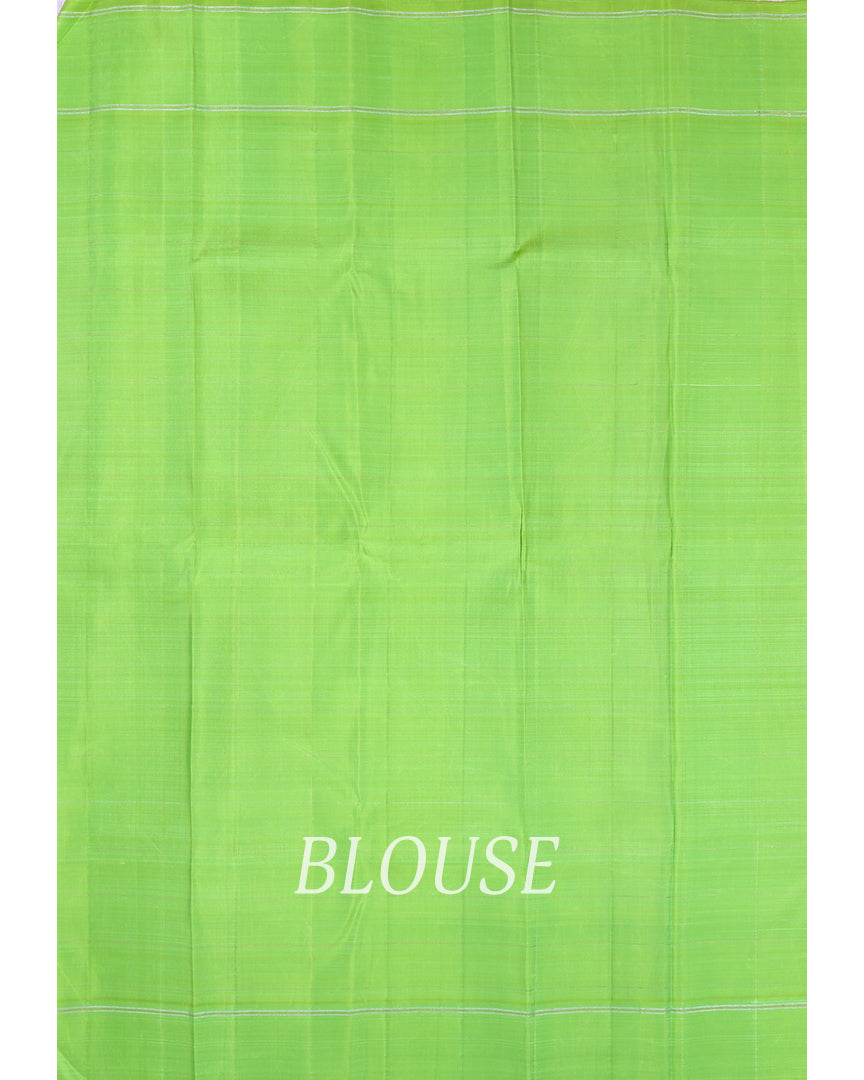 A blouse image of a kanchipuram silk saree.