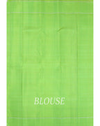 A blouse image of a kanchipuram silk saree.
