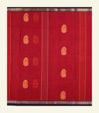 Red Paisley Cotton Saree