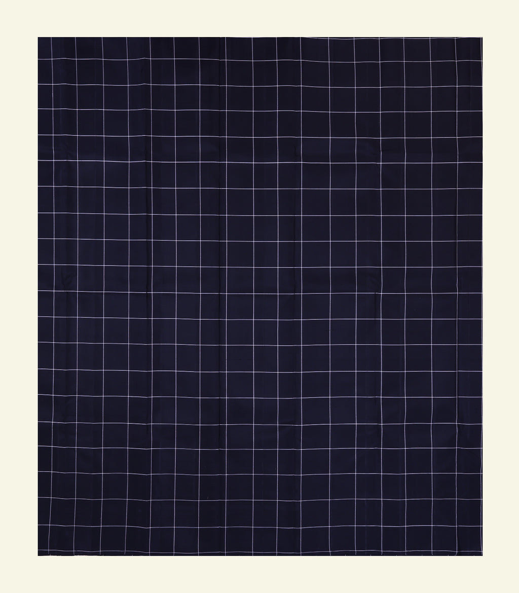 Checkered Handloom Silk Saree