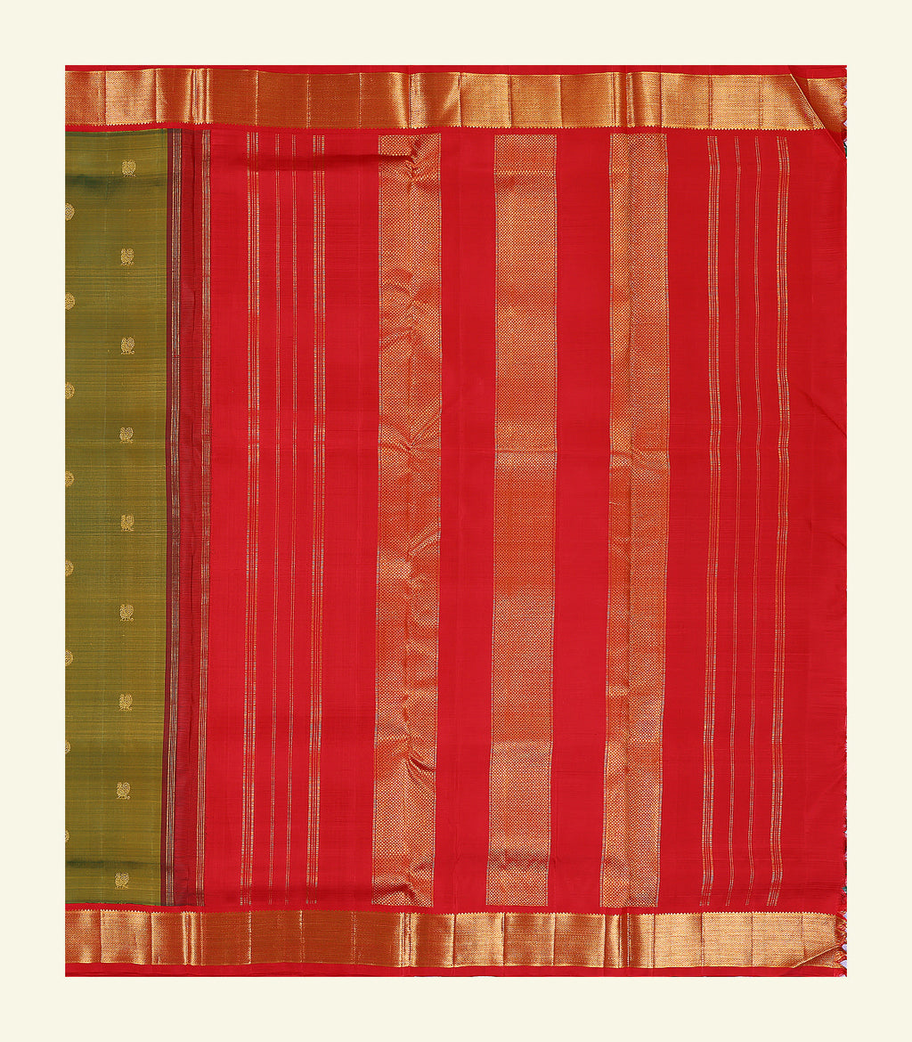 Nine Yards Handloom Silk Saree