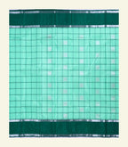 Mint Green Handloom Silk Saree