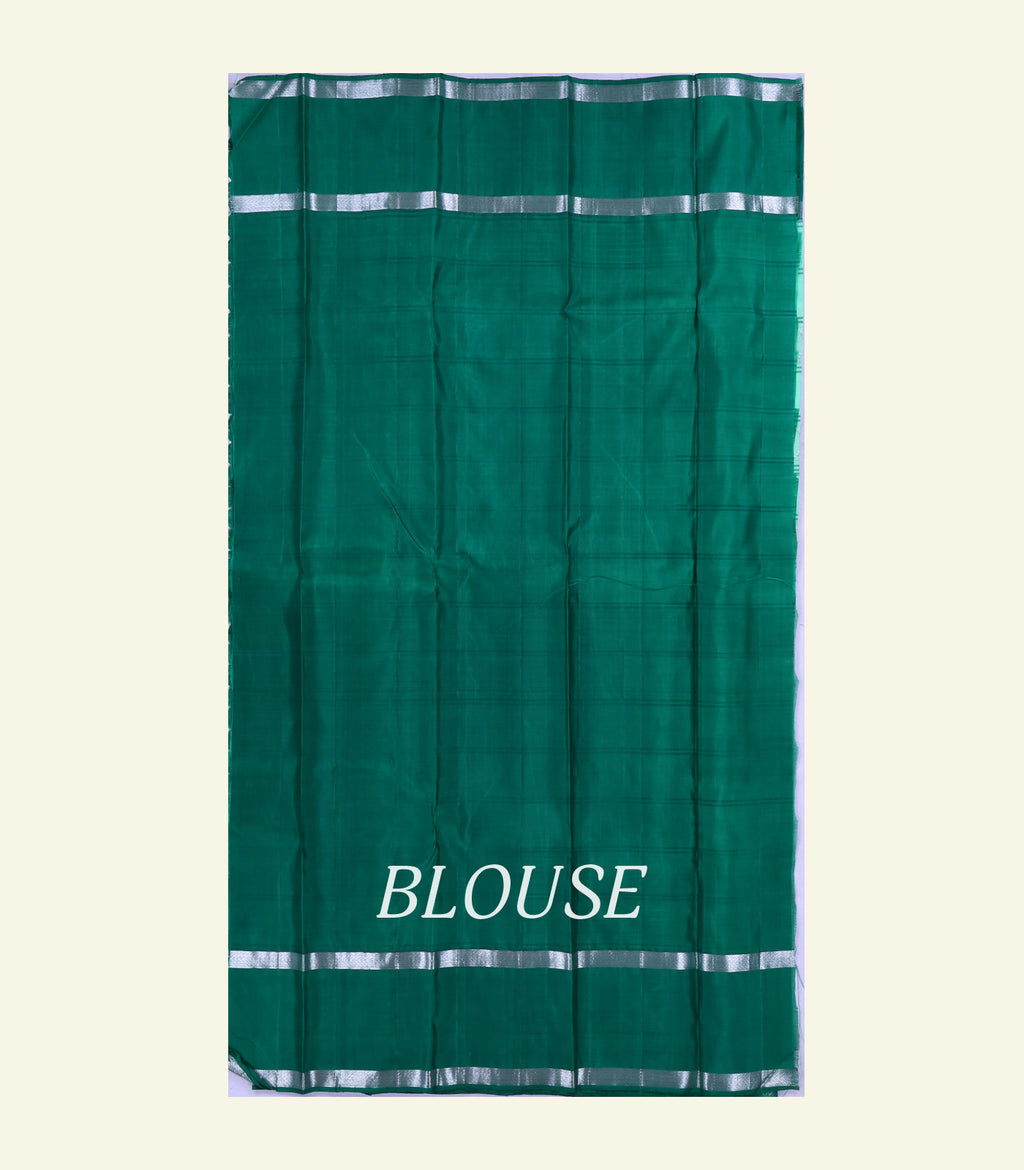 Mint Green Handloom Silk Saree