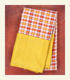 Multicolour Checkered Handloom Silk Saree